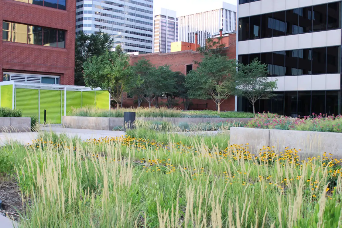 Rooftop garden with ornamental grasses and flowering plants