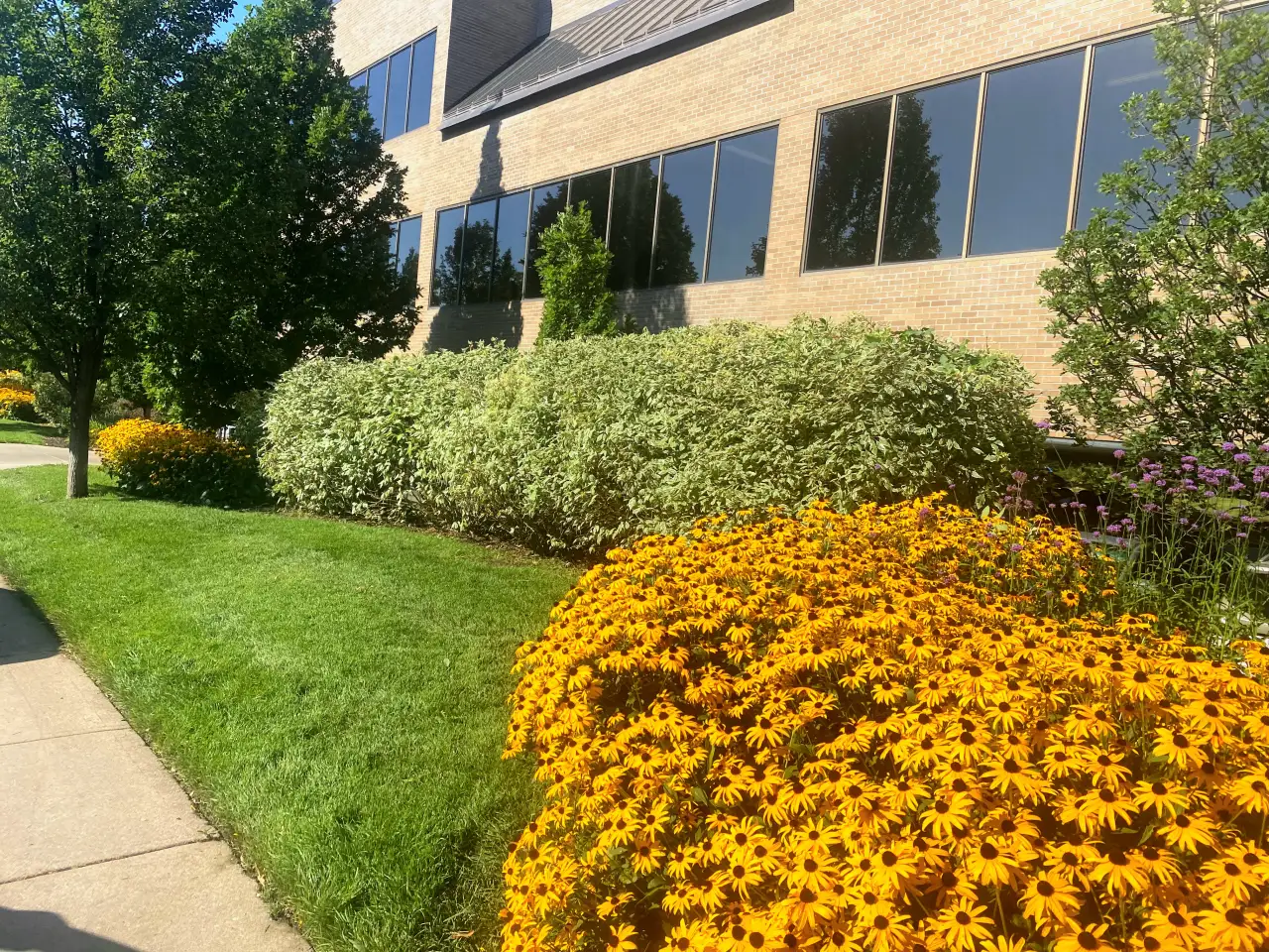 JLS professional lawn care and landscape maintenance in Denver