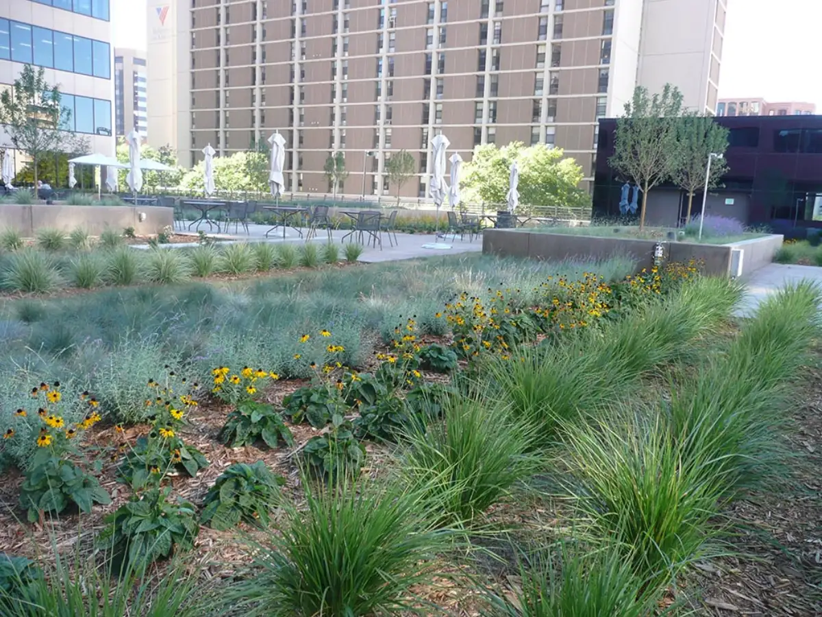 Professional commercial landscape maintenance by JLS in Denver