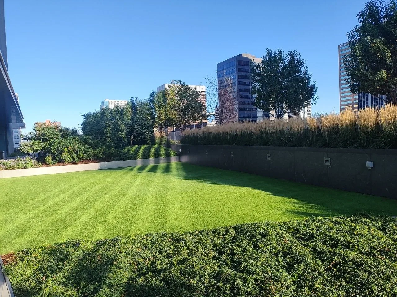 Commercial landscape maintenance in Denver