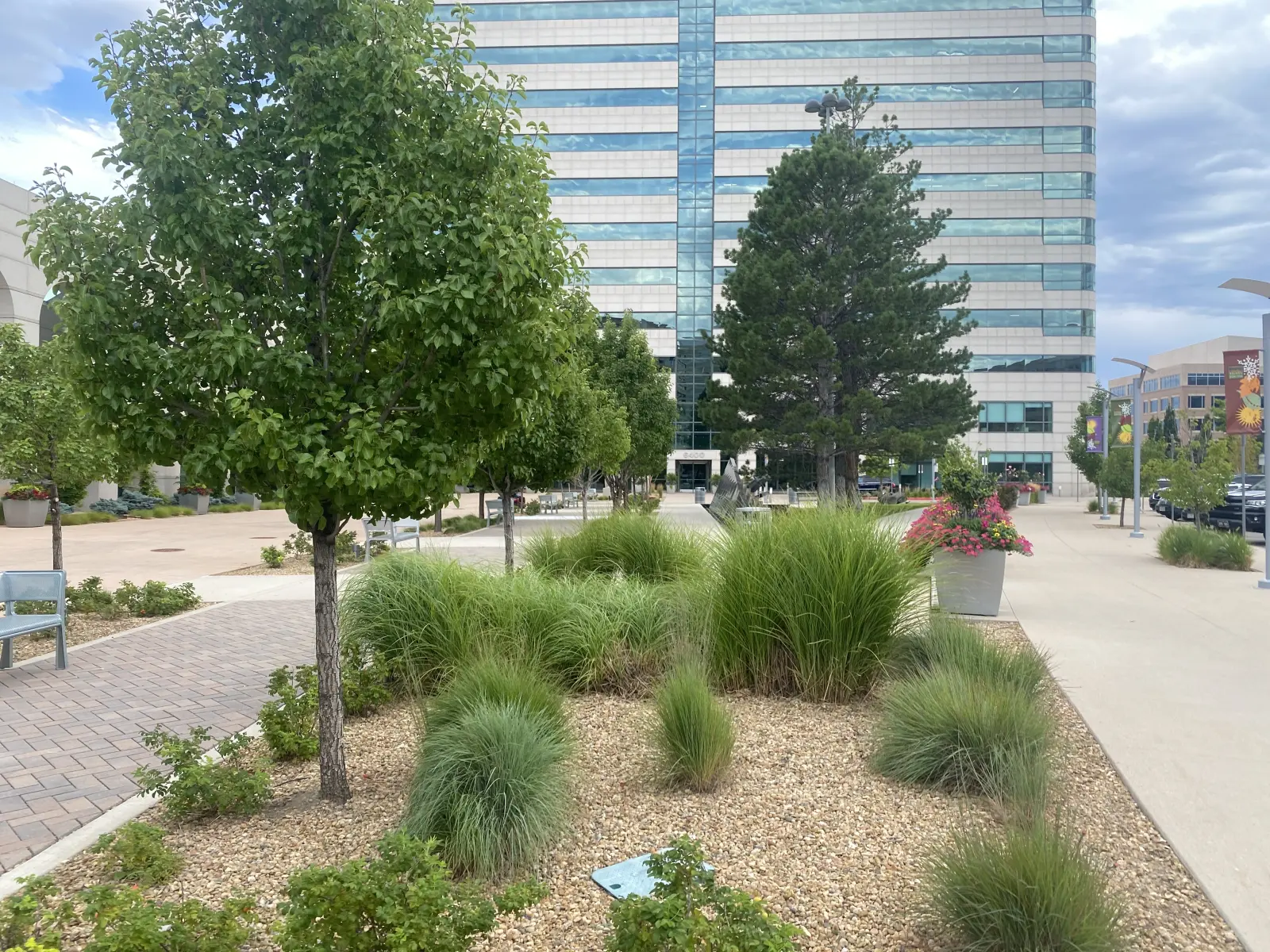 Xeriscape plaza landscaping in Thornton Colorado