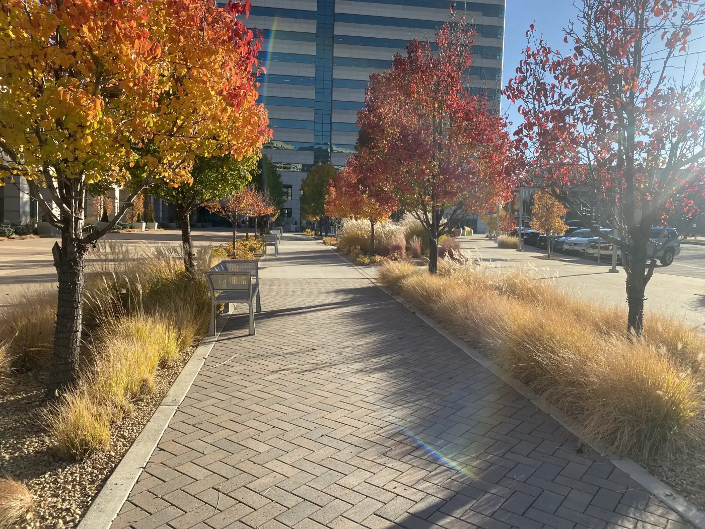 Fall landscape at corporate plaza maintained by JLS in Denver