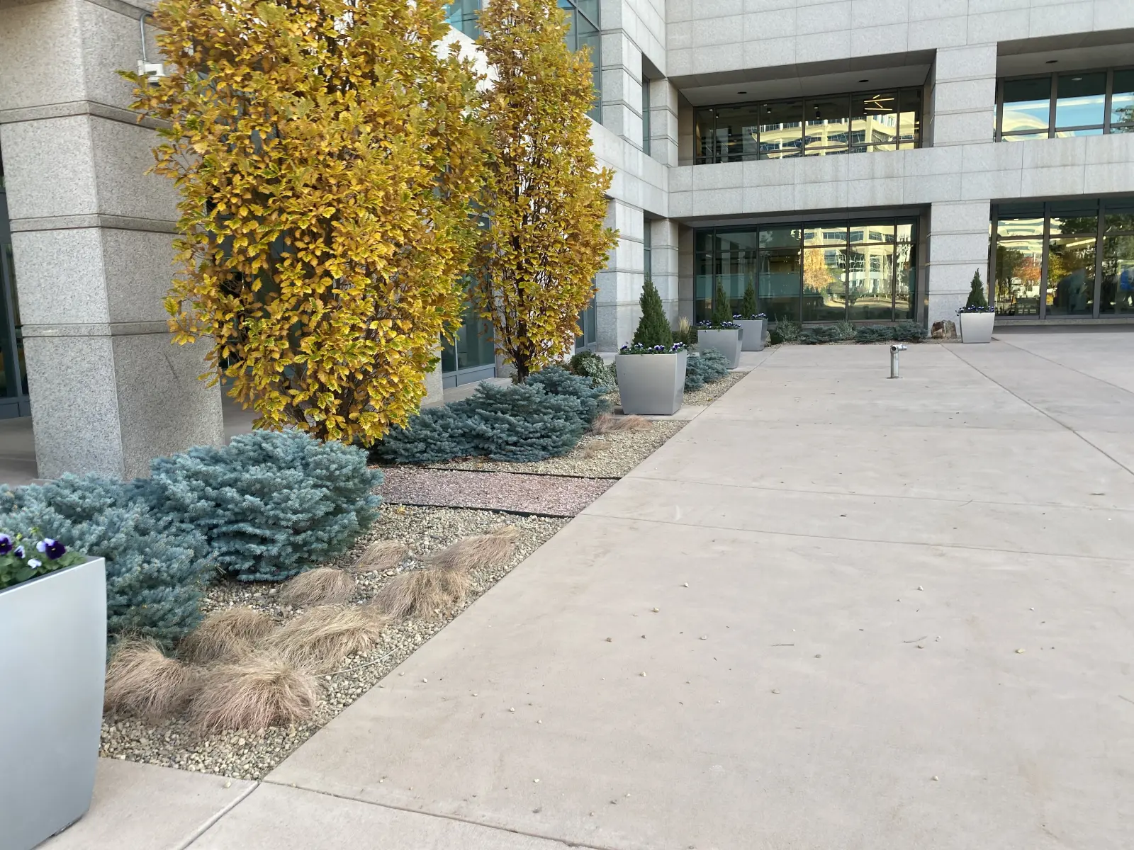 Fall xeriscape landscape at a Castle Pines property