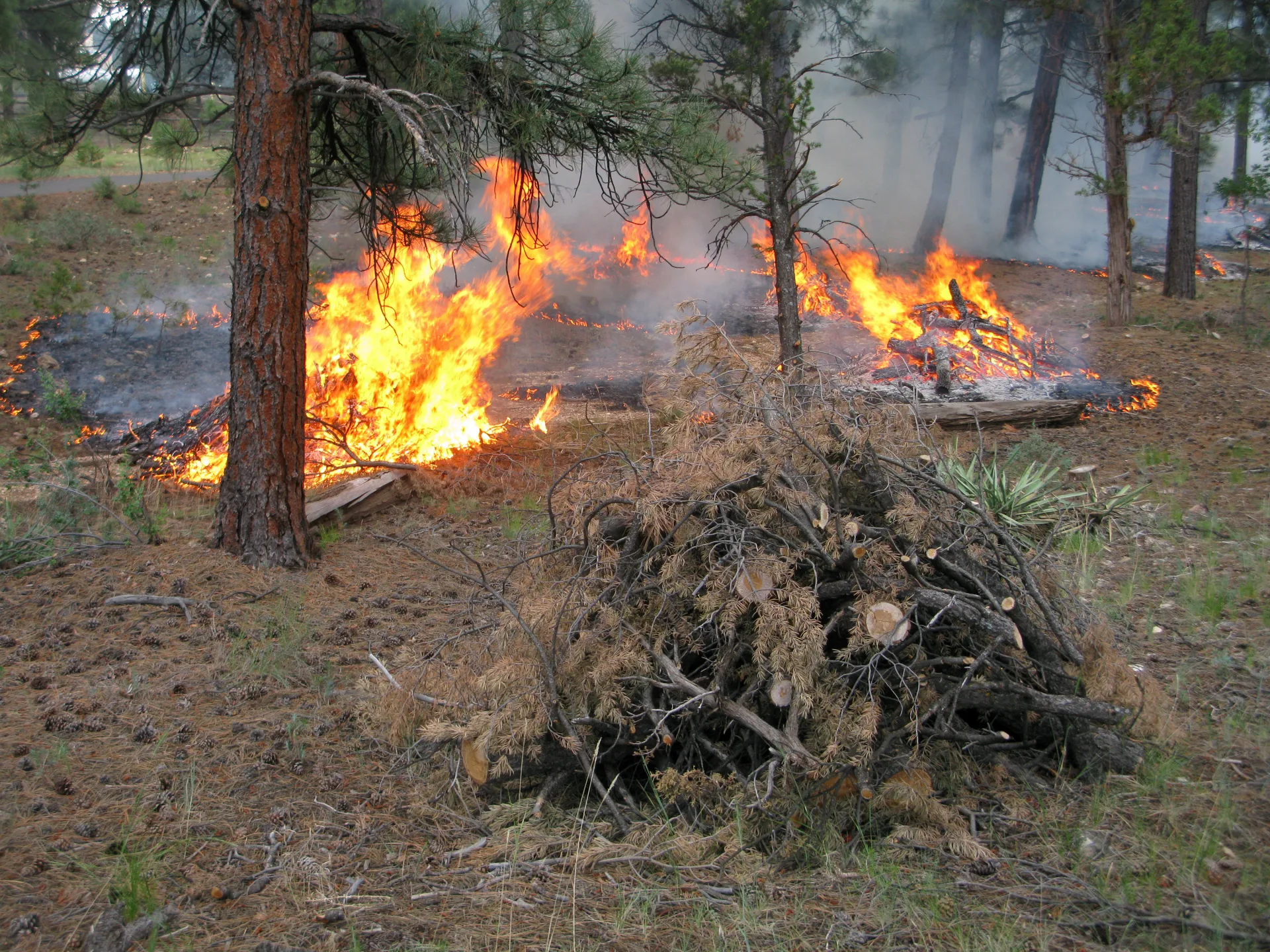 Aerial view of fire mitigation and defensible space clearing in Colorado