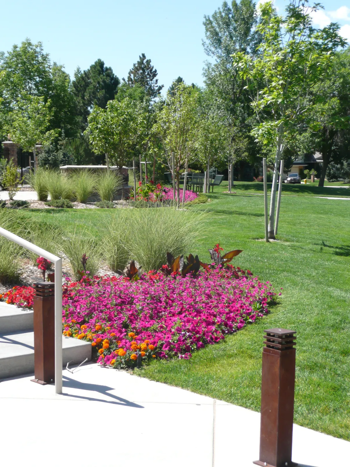 Vibrant HOA walkway flower plantings maintained by JLS Landscape