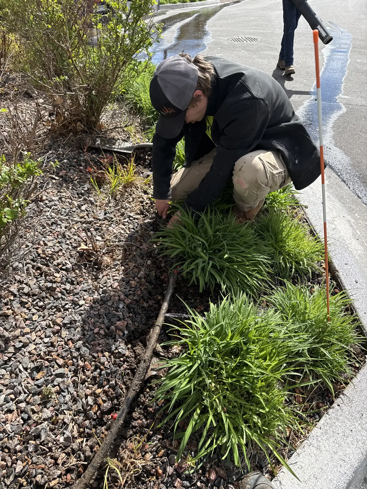 Irrigation system on a Castle Rock property maintained by JLS Landscape