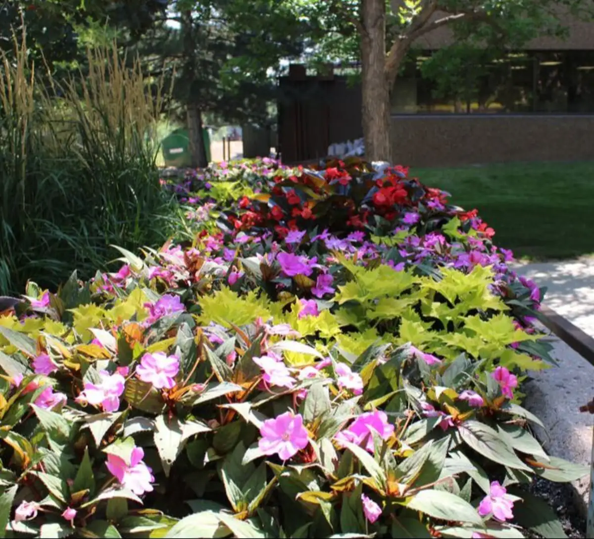 Commercial landscape maintenance