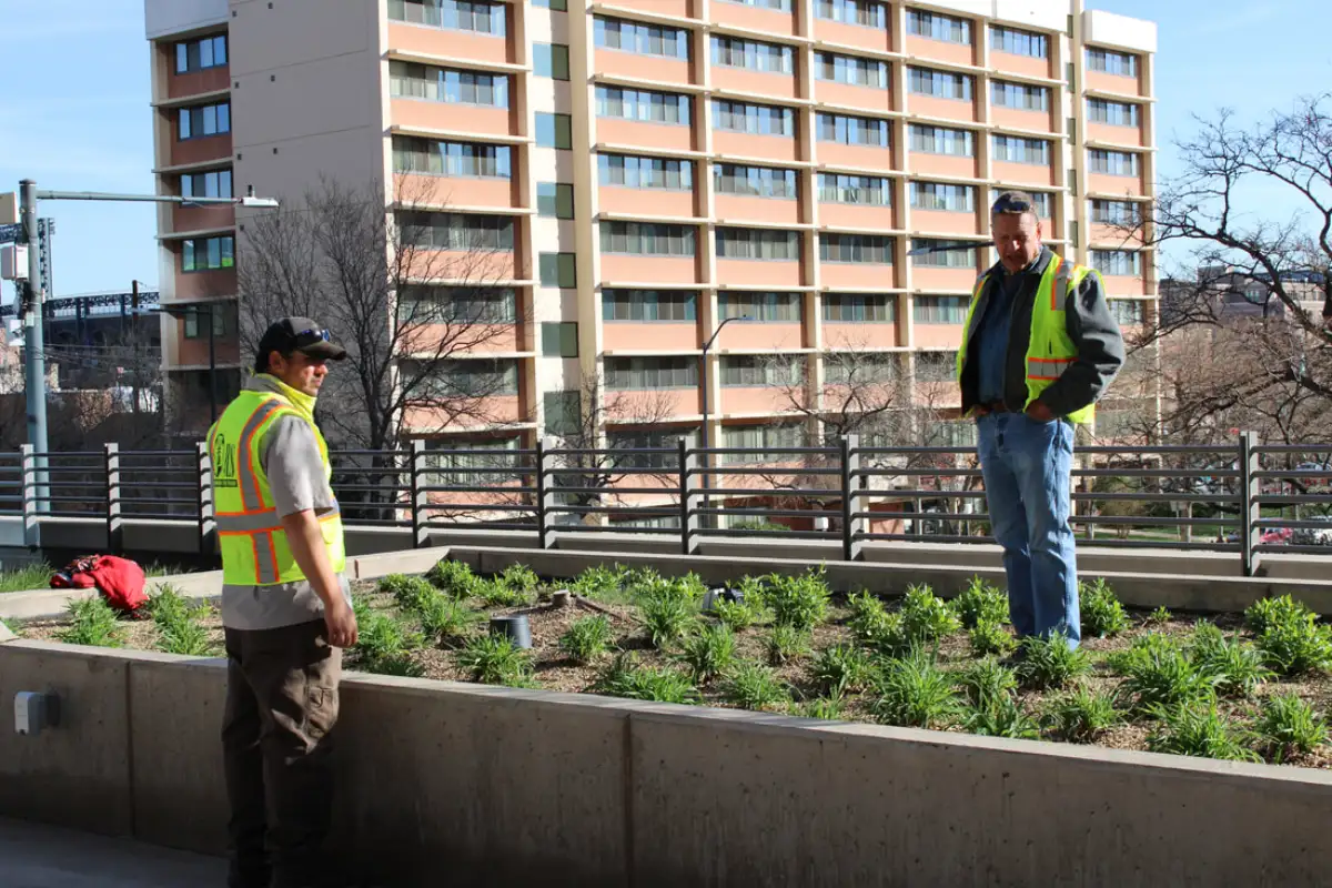 JLS landscape crew maintaining a commercial property near Castle Rock