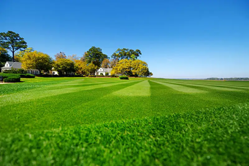JLS landscape maintenance project in Douglas County