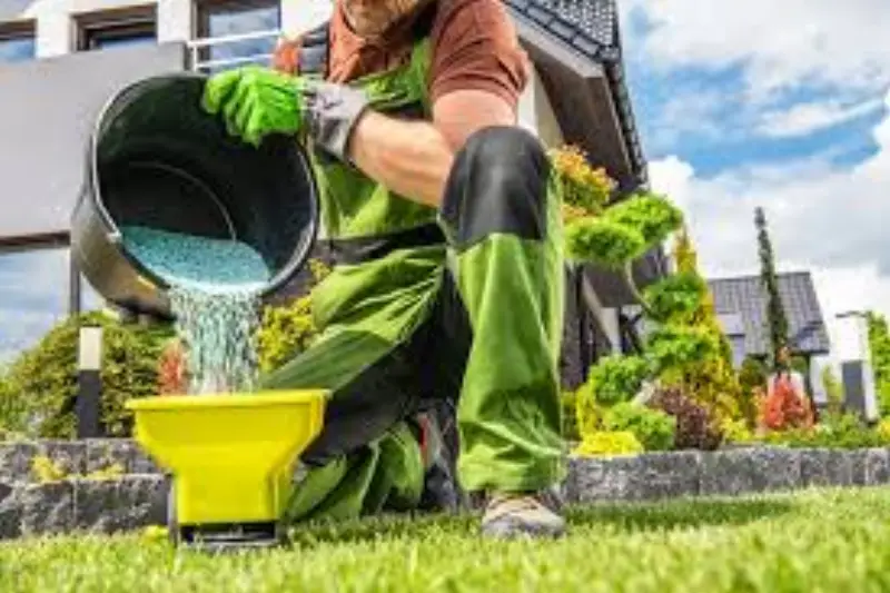 Healthy green turf maintained by JLS fertilization program in Colorado