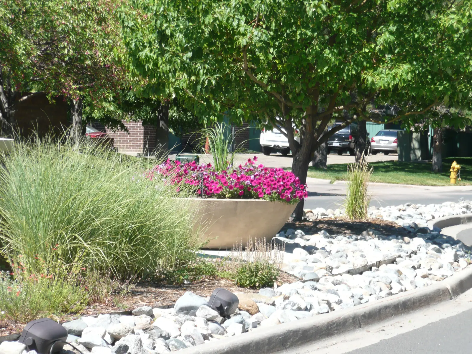 Streetscape petunia plantings in Highlands Ranch maintained by JLS