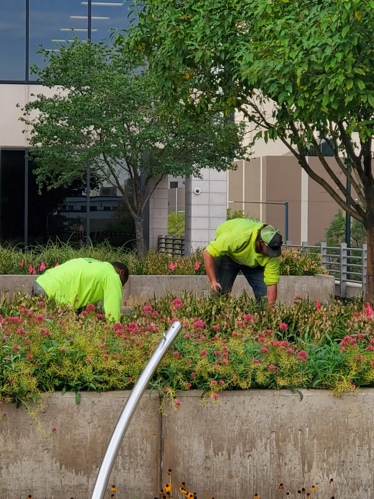 JLS crew working together on a commercial landscape